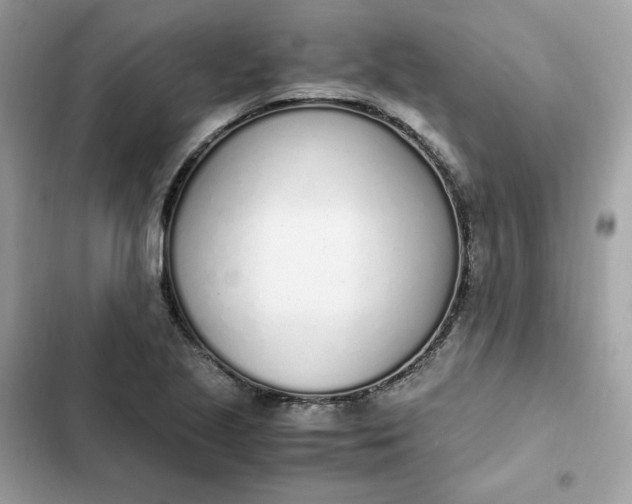 X0000102371221200808151827