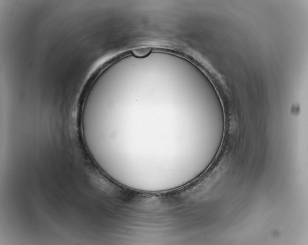 X0000102371222200808151827