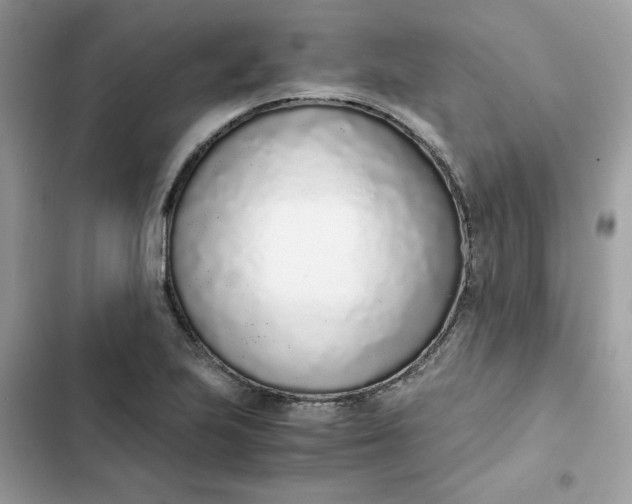 X0000102371223200808151827