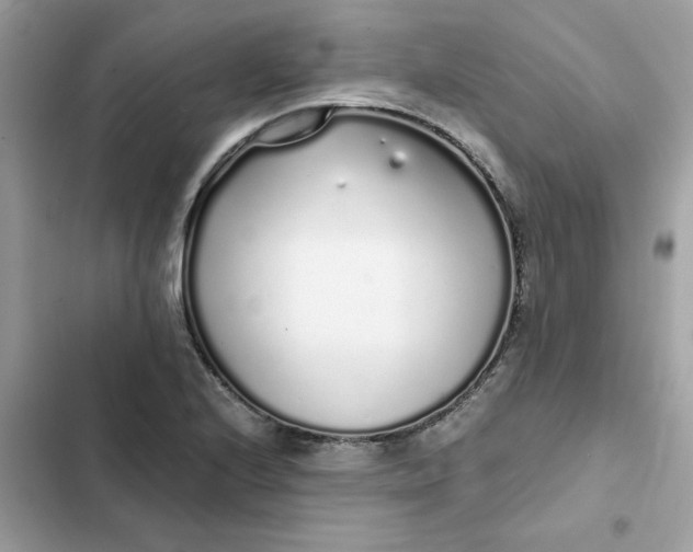 X0000102371224200808151827