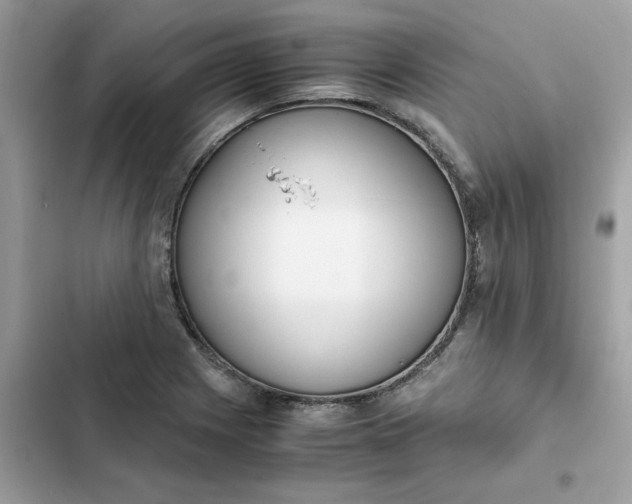 X0000102371225200808151827