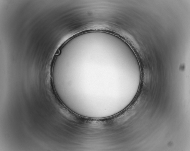 X0000102371226200808151827