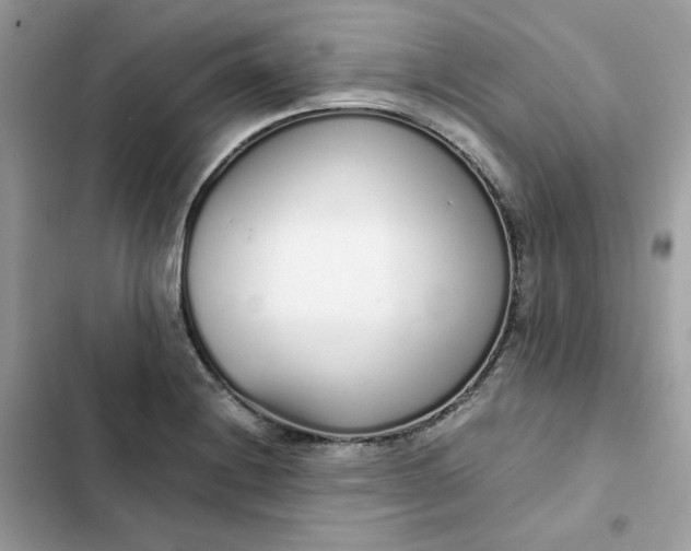 X0000102371228200808151827