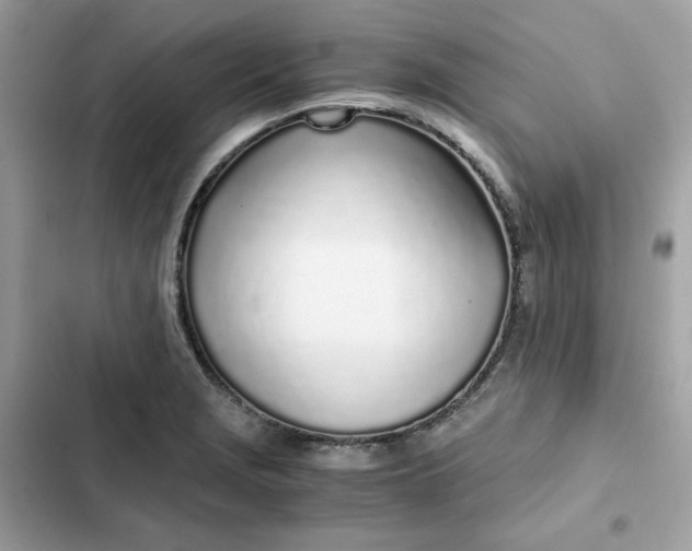 X0000102371229200808151828