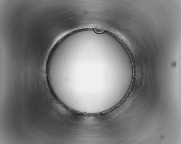 X0000102371230200808151828