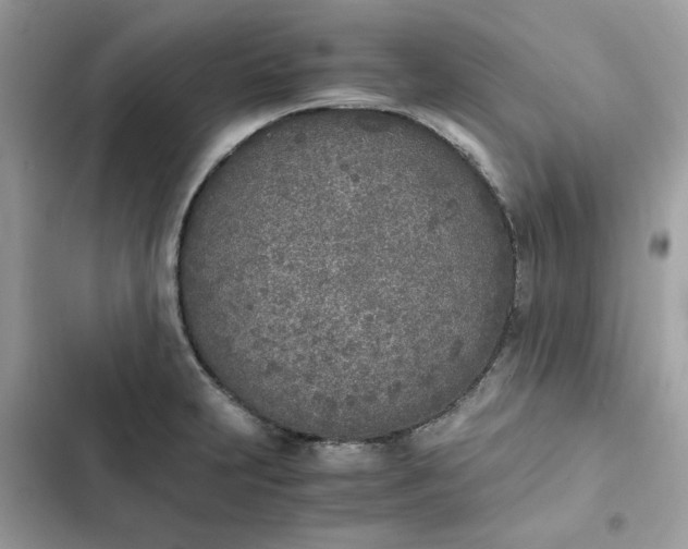 X0000102371231200808151828