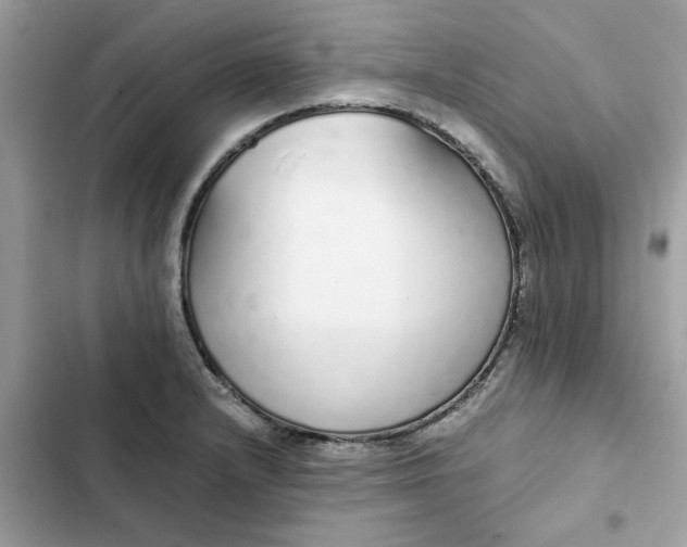 X0000102371232200808151828