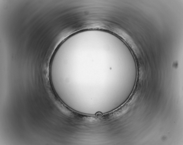 X0000102371234200808151828