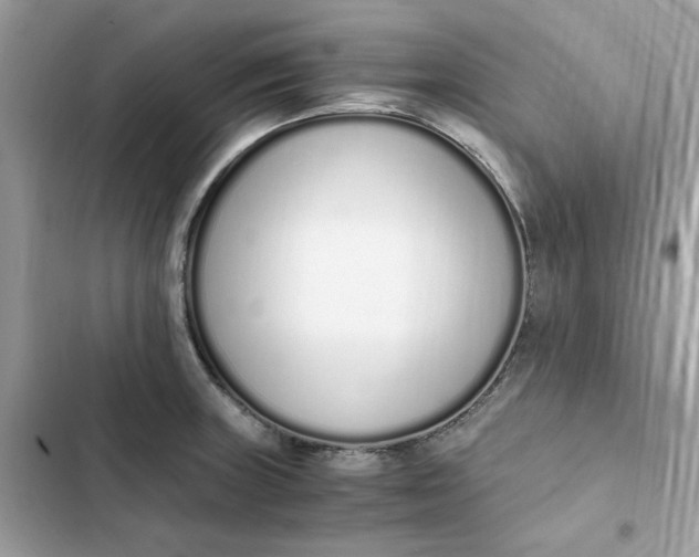 X0000102371235200808151828