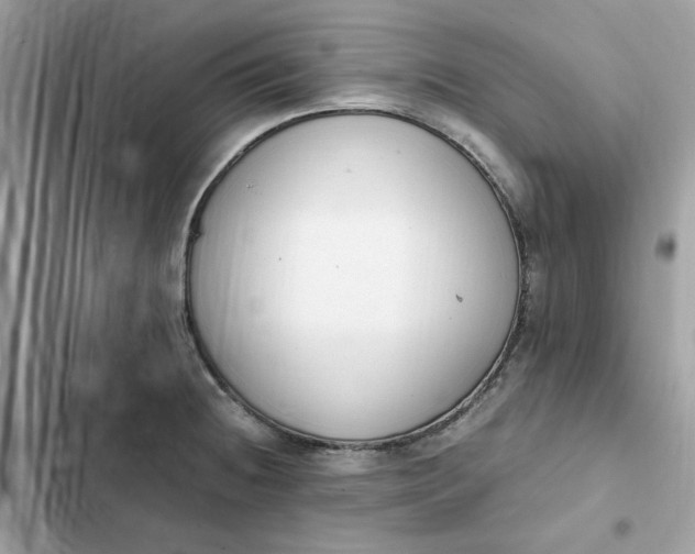 X0000102371236200808151828