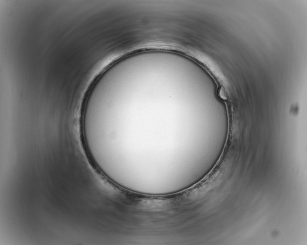 X0000102371237200808151828