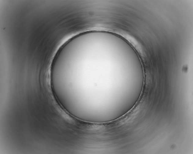 X0000102371238200808151828