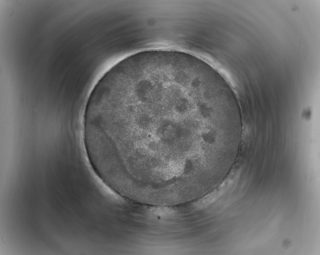 X0000102371239200808151828