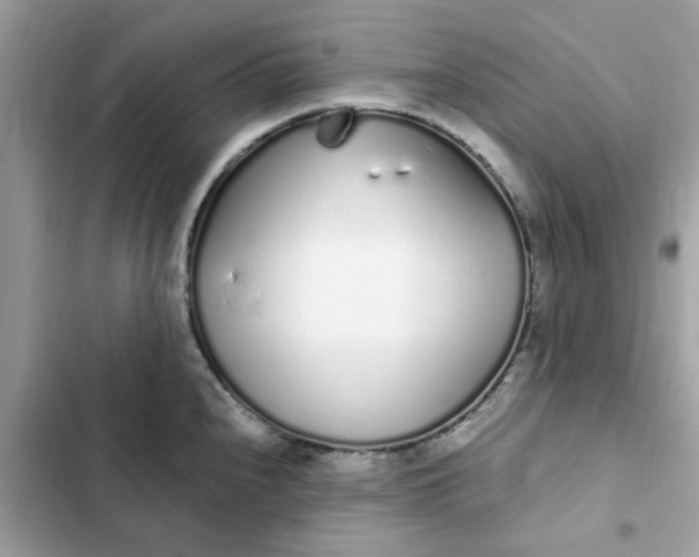 X0000102371240200808151828