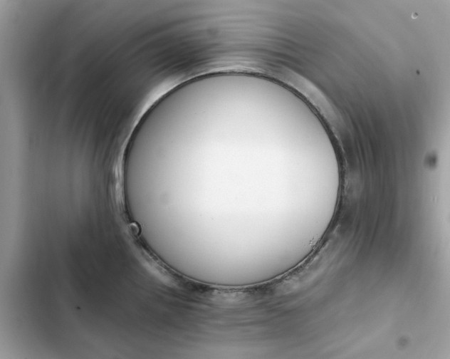 X0000102371242200808151828