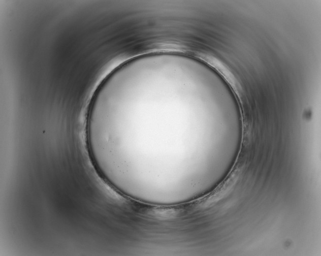 X0000102371243200808151828