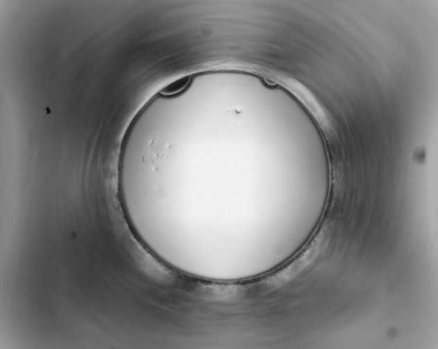 X0000102371244200808151828