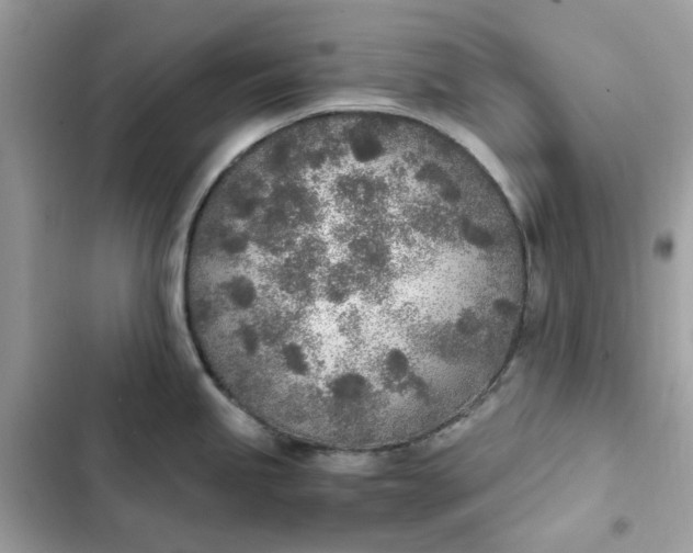 X0000102371245200808151828