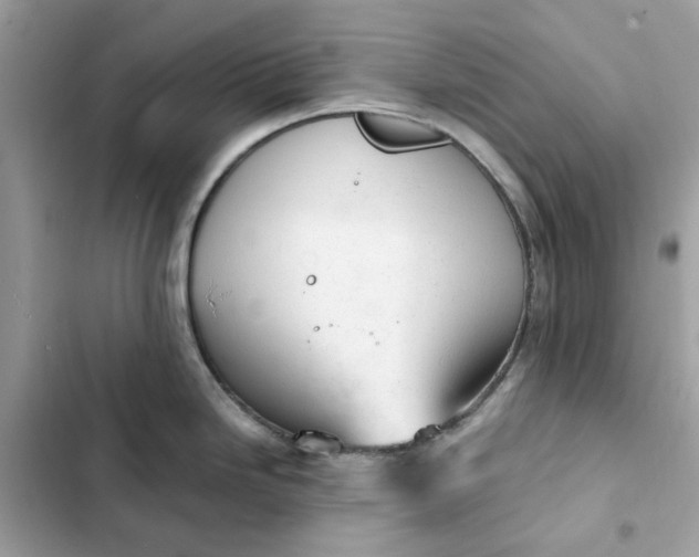 X0000102371246200808151828