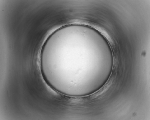 X0000102371247200808151828