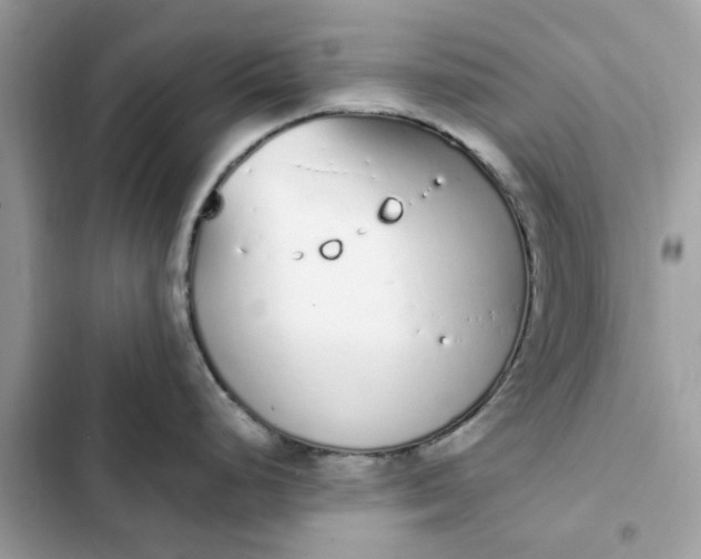 X0000102371248200808151828