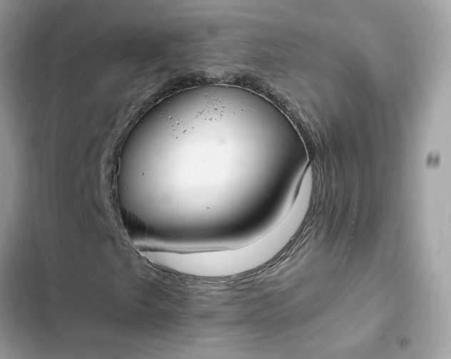 X0000102371249200808151827