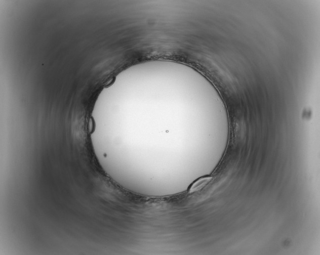 X0000102371250200808151827