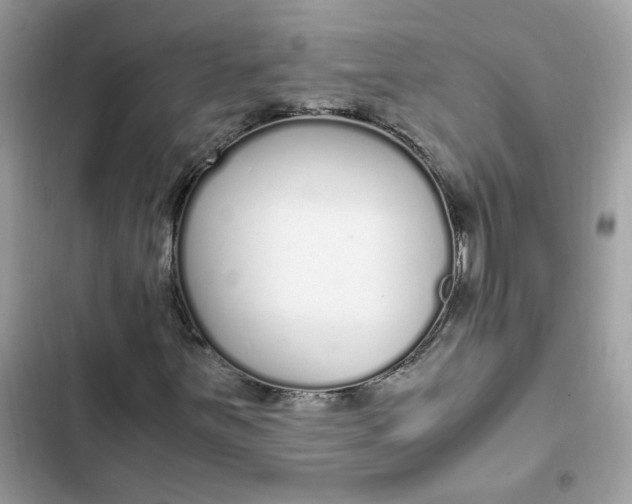 X0000102371251200808151827