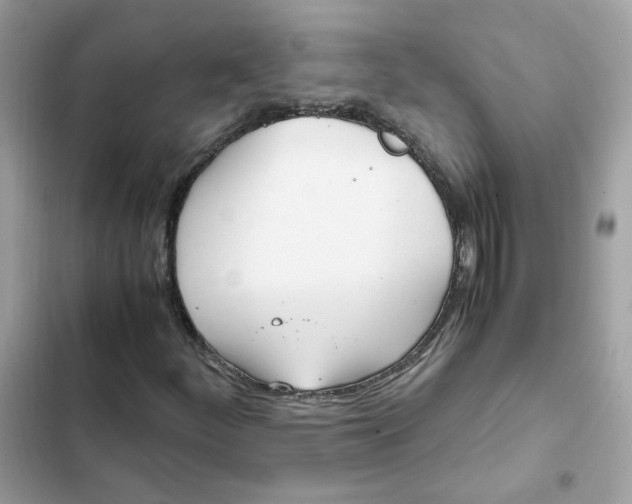 X0000102371252200808151827