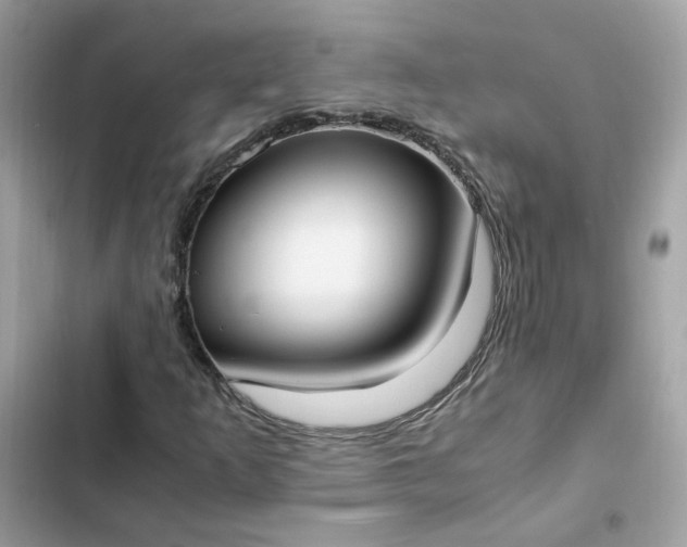 X0000102371253200808151827