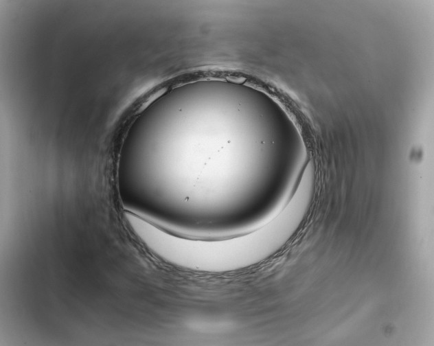 X0000102371255200808151827