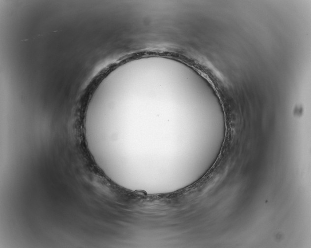 X0000102371256200808151827