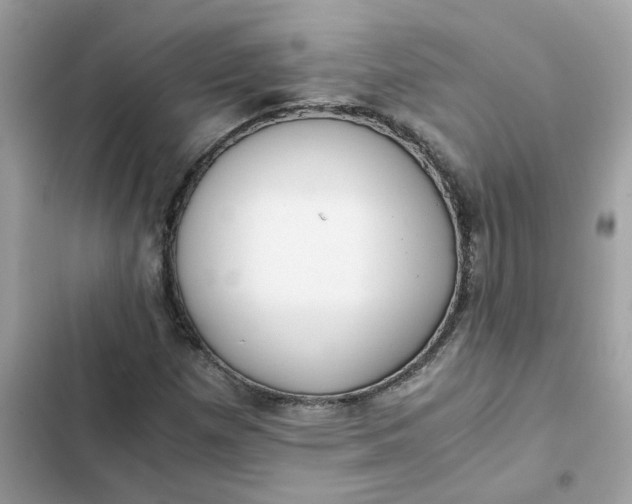 X0000102371257200808151827