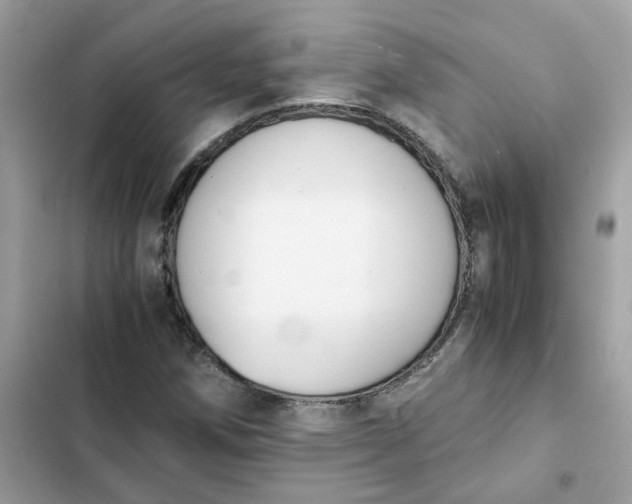 X0000102371258200808151827