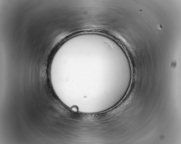 X0000102371259200808151827