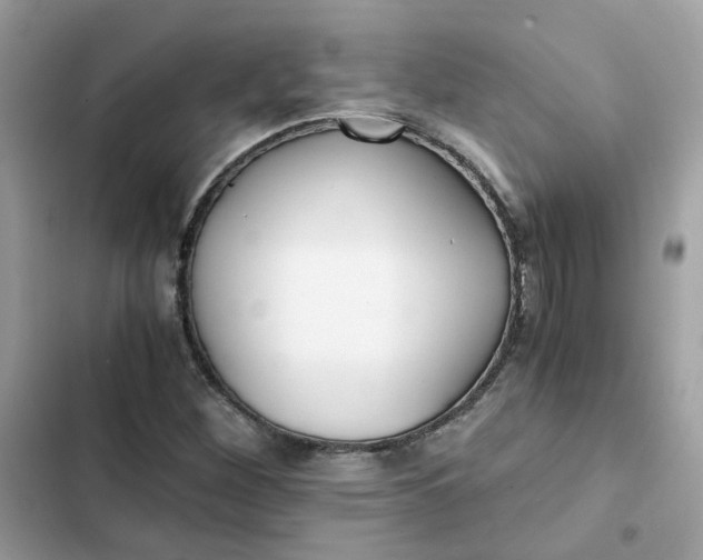 X0000102371260200808151827