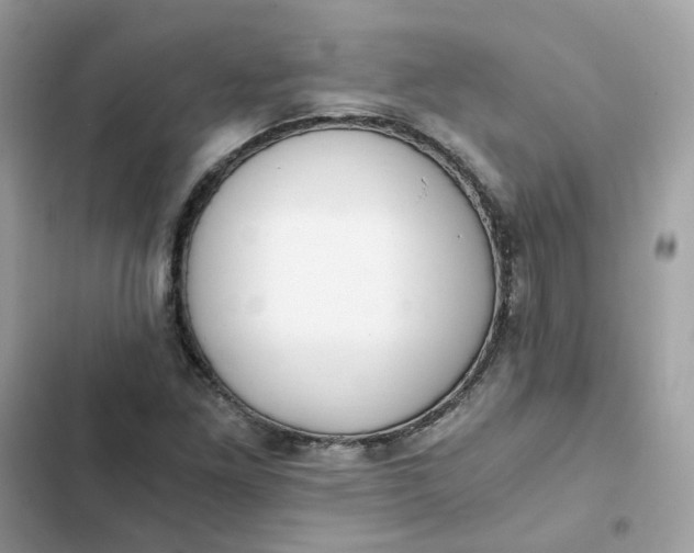 X0000102371261200808151827