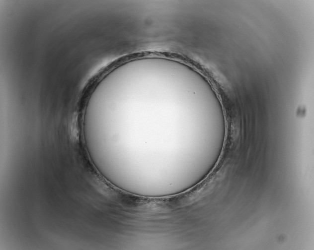 X0000102371262200808151827