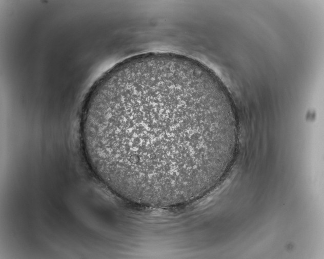 X0000102371263200808151827