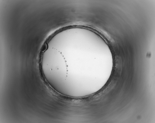 X0000102371264200808151827