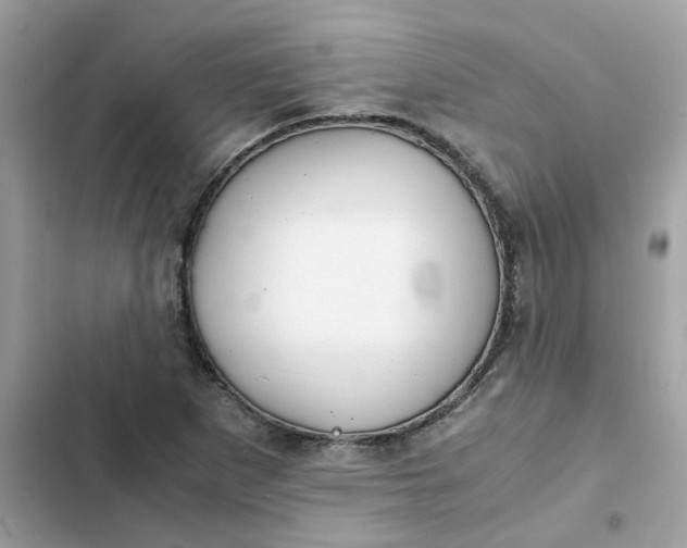 X0000102371265200808151827