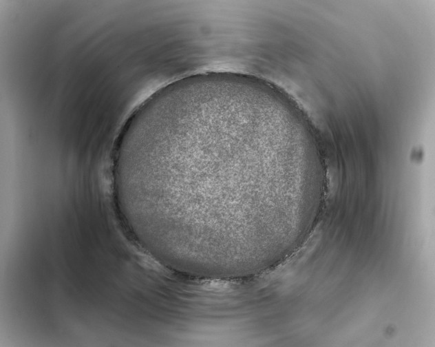 X0000102371266200808151827