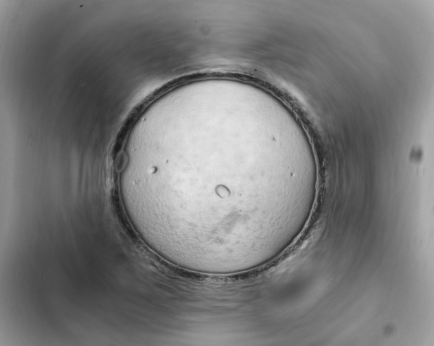 X0000102371267200808151827