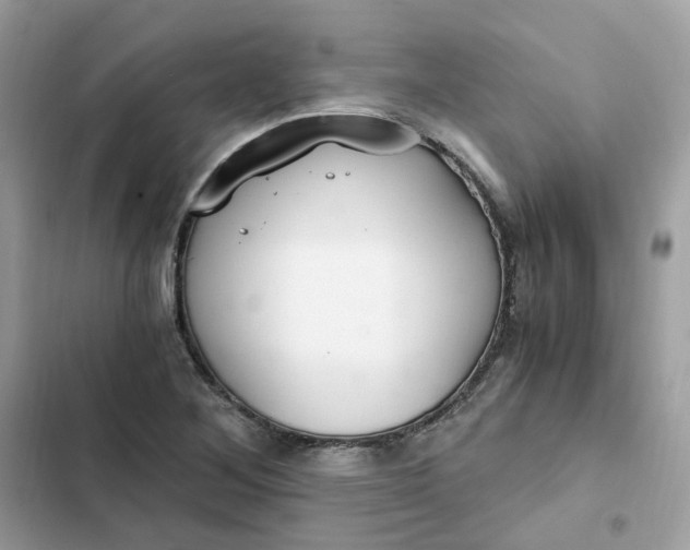 X0000102371268200808151827