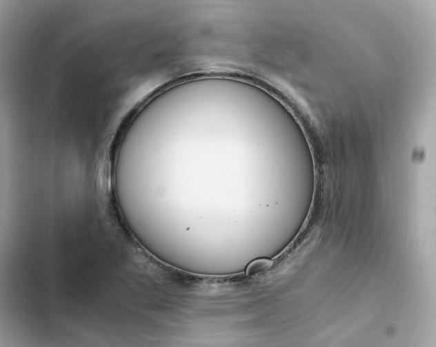 X0000102371269200808151827