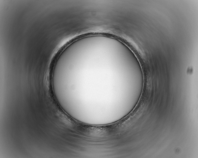 X0000102371270200808151827