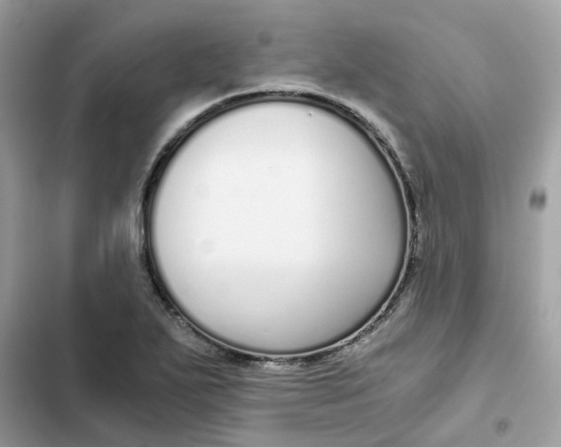 X0000102371271200808151827