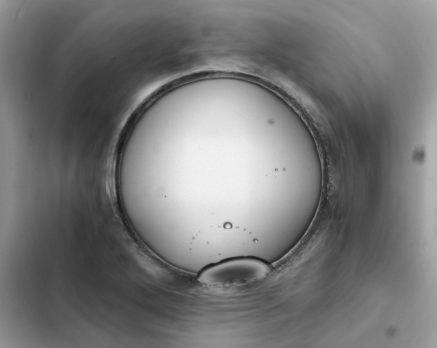 X0000102371272200808151827