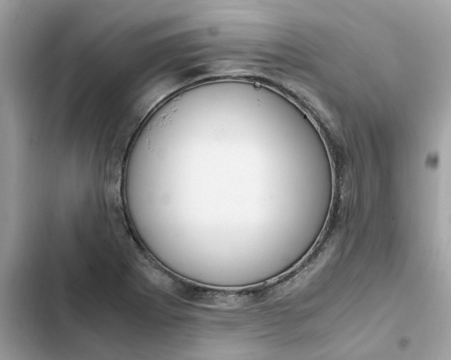 X0000102371273200808151827