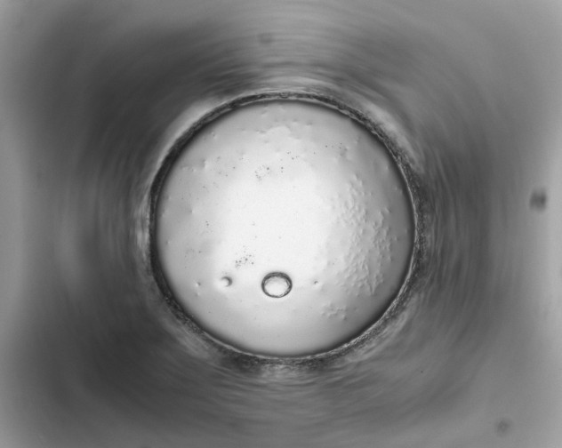 X0000102371275200808151827